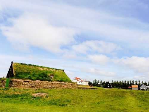 MARATONA DI REYKJAVIK  2014